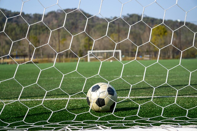 手的尊重和 手的尊重和