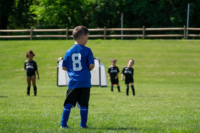 免会出现观 免会出现观