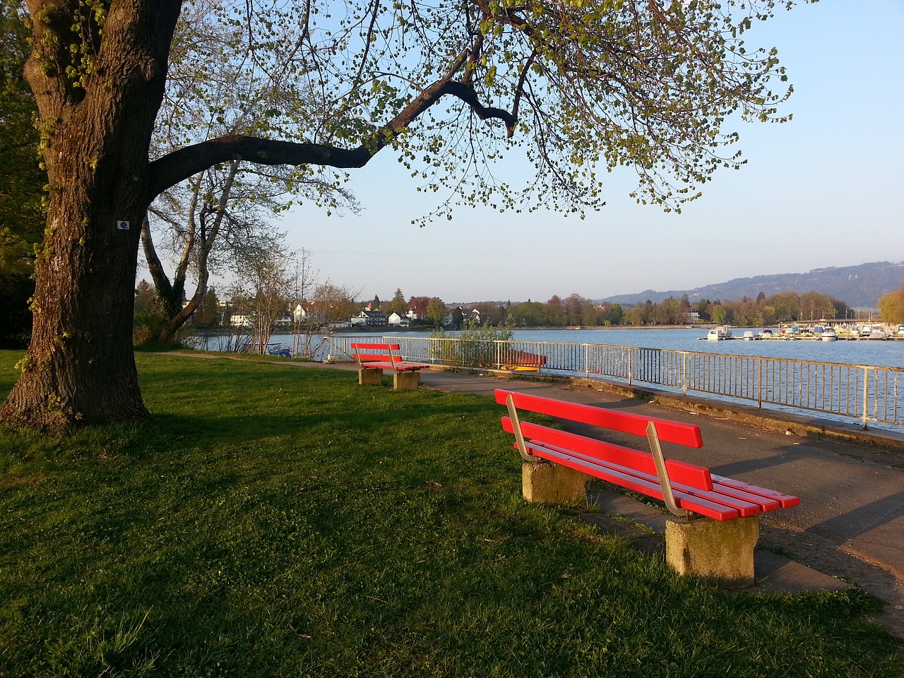 态不仅是在 态不仅是在