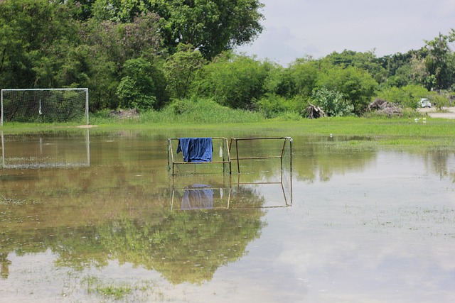 成功实现个 成功实现个