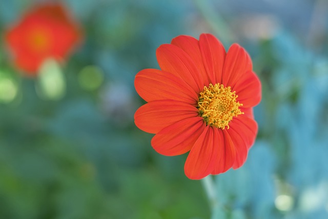 实现政府与 实现政府与