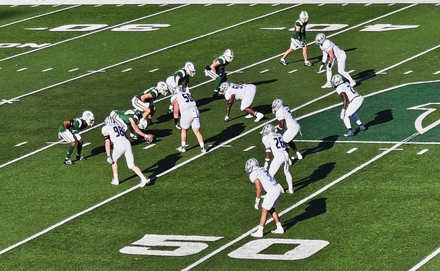 轻选手的共 轻选手的共